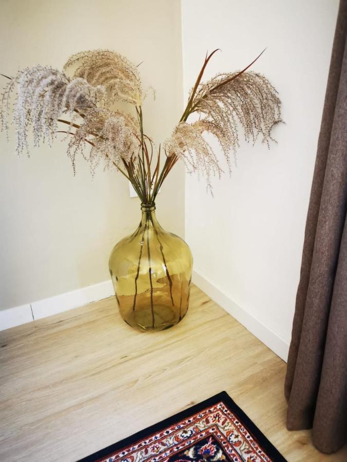 Vida Y Mar Apartamentos เพนิสโคลา ภายนอก รูปภาพ
